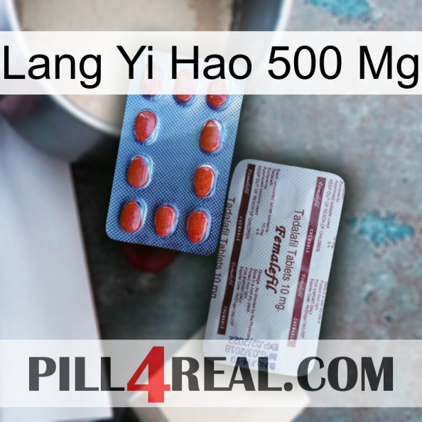 Lang Yi Hao 500 Mg 36.jpg